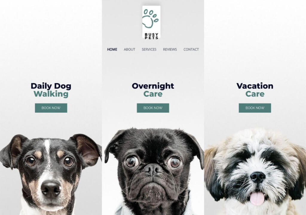 Pet Lover 2 Featured image for a digital download store plugin, highlighting the product’s capabilities to streamline digital product management, sales, and delivery for an enhanced user experience.
